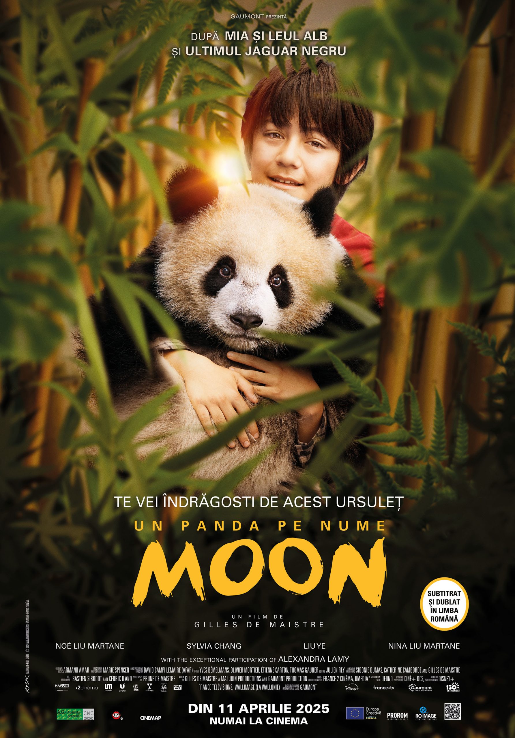 UN PANDA PE NUME MOON