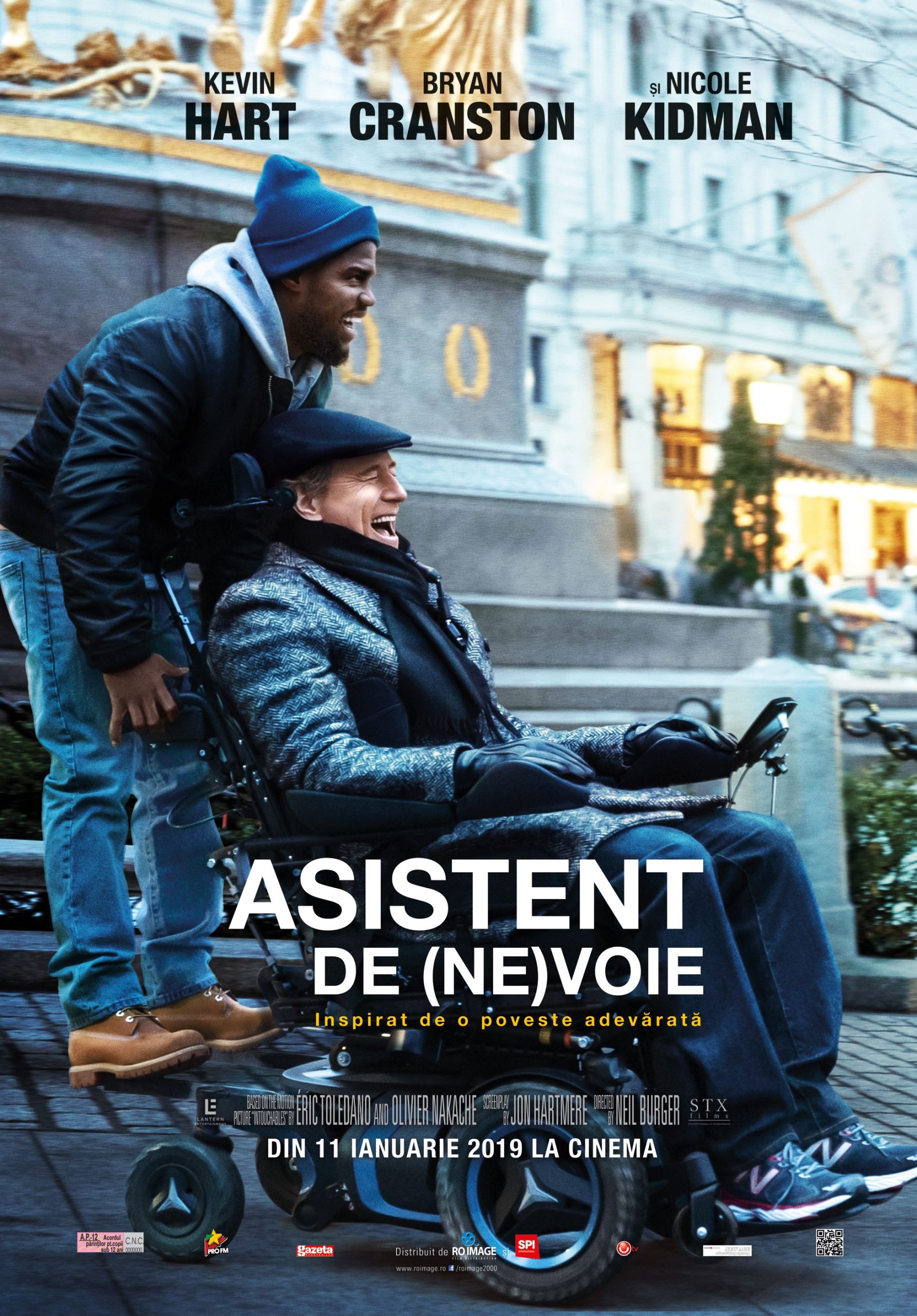 ASISTENT DE (NE)VOIE