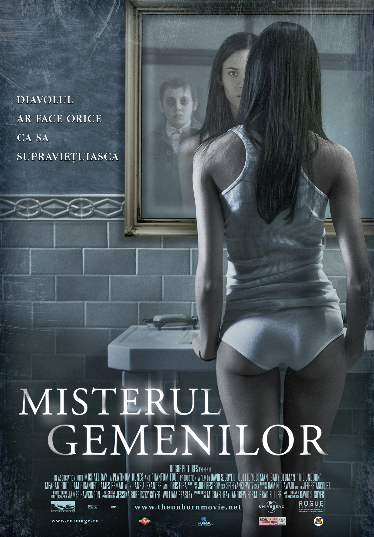 MISTERUL GEMENILOR